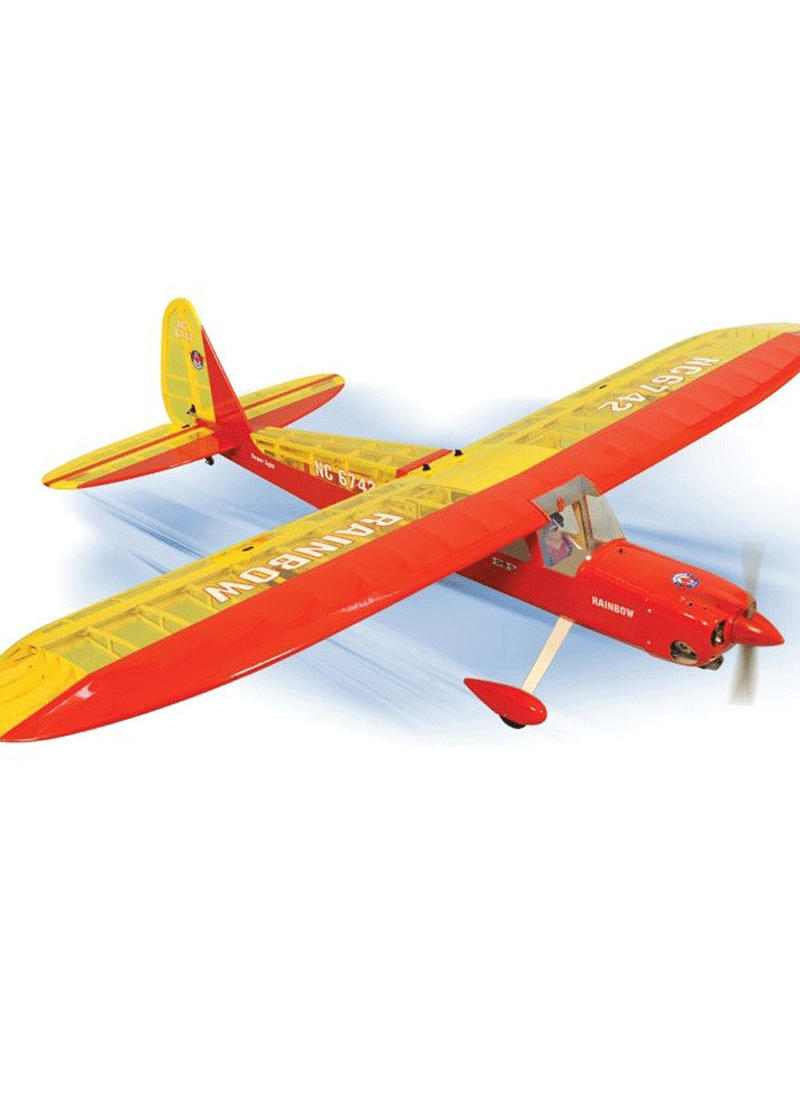 rc phoenix bird