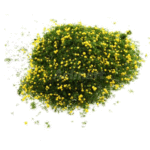 Sponge Yellow Fruit Green Foliage for Model Trees Bushes Hedge DIY Scenic