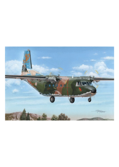 Special Hobby CASA C-212-100 "Portuguese Tail Arts" "Tail Art"