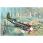Trumpeter P-40N War Hawk 02212