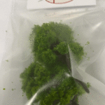 Artificial Tree Train Railroad Scenery Architecture For Kid Tree 1:100 Scenery Landscape 8cm x 2