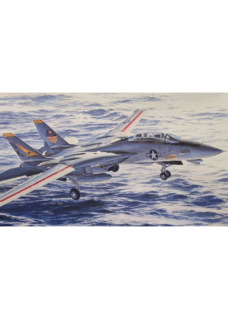 Hasegawa F-14A Tomcat "Pacific Fleet Squadrons"