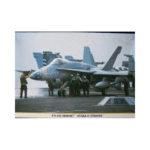 Hasegawa F/A-18C Hornet "Stars & Stripes"