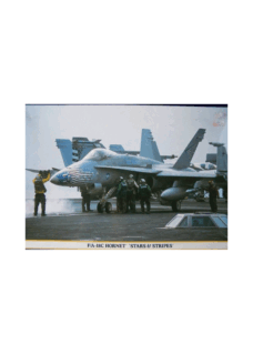 Hasegawa F/A-18C Hornet "Stars & Stripes"