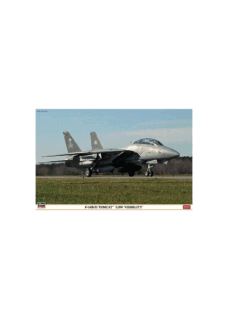 Hasegawa F-14B/D Tomcat Low Visibility
