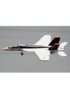 Freewing F/A-18 4S High Performance 64mm EDF Jet Royal Maces PNP