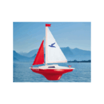 Gunther Captain Hook Yacht