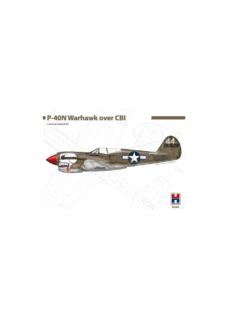 Hobby 2000 48002 P-40N Warhawk over CBI
