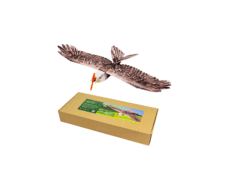 Dancing Wings Hobby E19 RC Airplane EPP Biomimetic Eagle II Wingspan