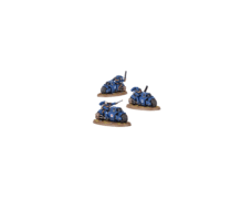 Warhammer Outrider Squad